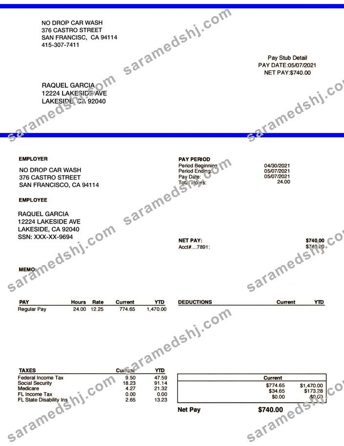 NO DROP CAR WASH pay stub in PDF and Word formats